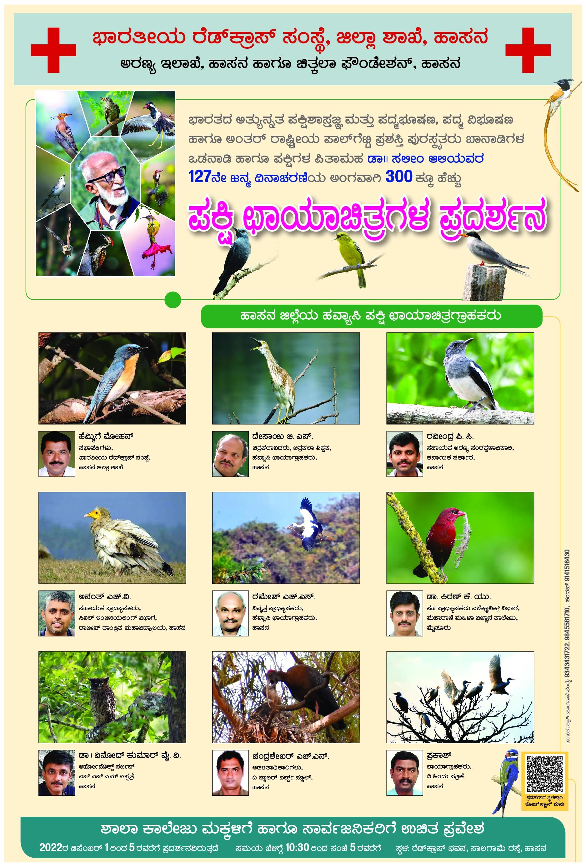 Hassan District Bird Photography